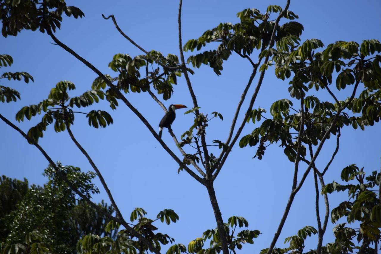 Vila Dos Cristais Alto Paraíso de Goiás Εξωτερικό φωτογραφία