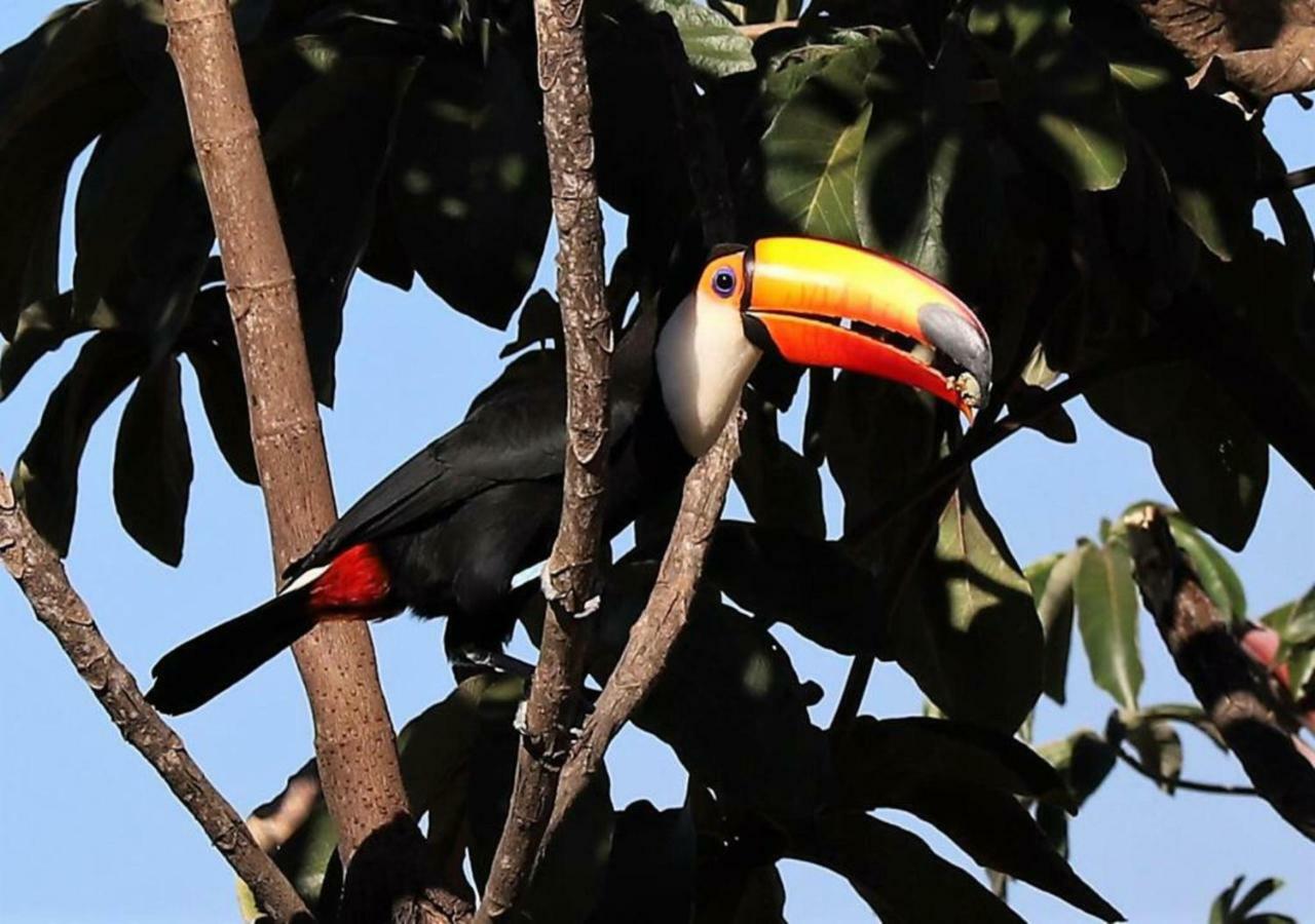 Vila Dos Cristais Alto Paraíso de Goiás Εξωτερικό φωτογραφία